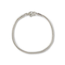 RW-747_SILVER_1-300x300.jpg