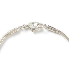 RW-747_SILVER_2-300x300.jpg
